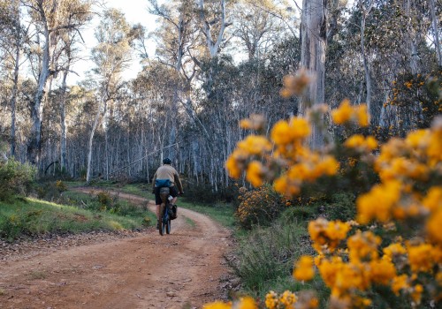 The Exciting World of Bike Festivals in Leon County, Florida