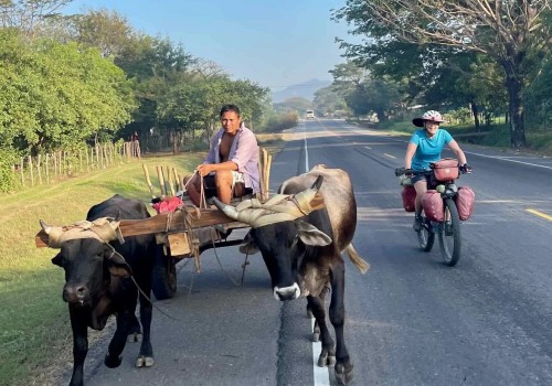 Maximizing Your Reach: Becoming a Vendor or Sponsor at the Bike Festivals in Leon County, Florida