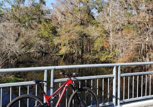 Bike-Friendly Hotels in Leon County, Florida: A Must for Bike Festival Participants