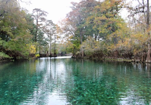 The Ultimate Guide to Volunteering at Bike Festivals in Leon County, Florida